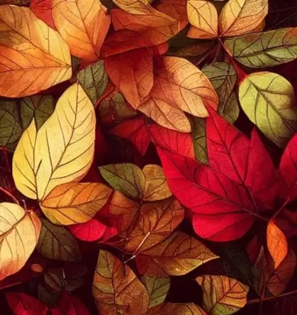leaves-7452420_640
